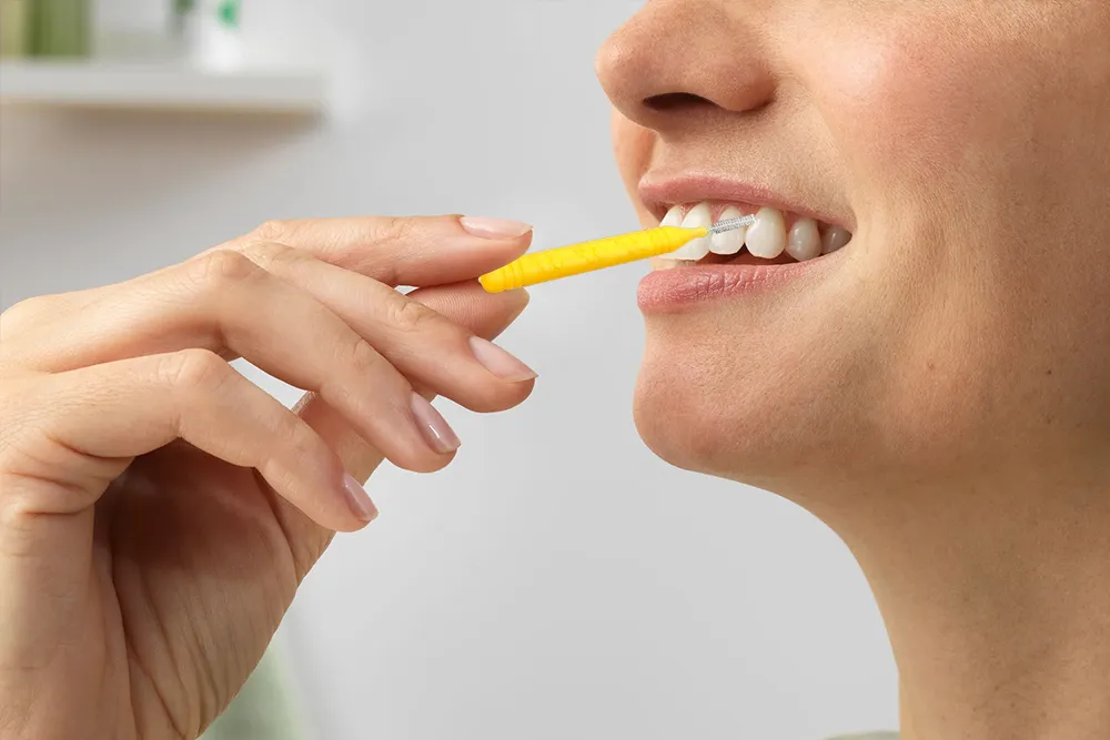 Sikat Interdental
